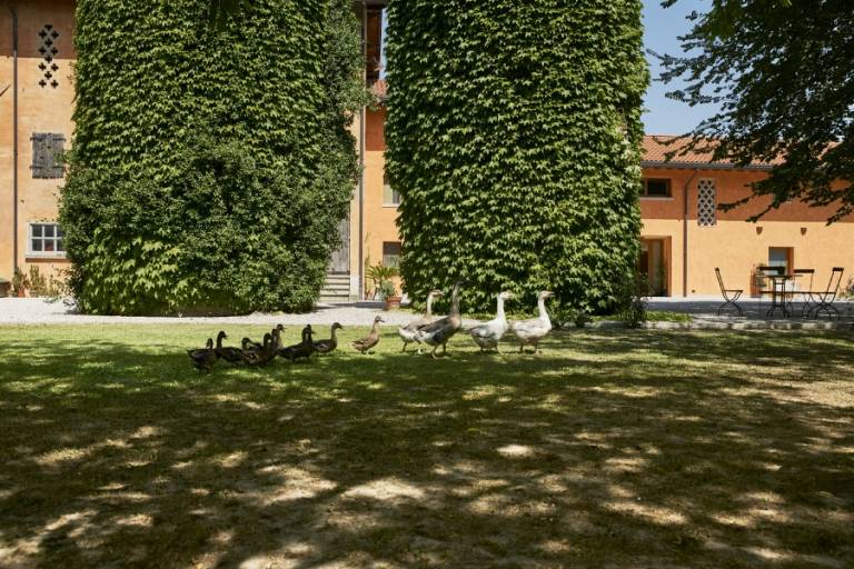 Bauernhof in Cesarolo für max. 2 Personen Bauernhof in Cesarolo für max. 2 Personen