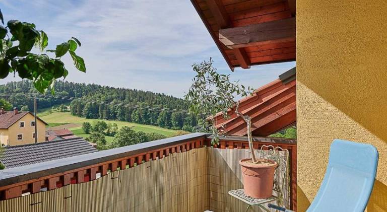 Holiday apartment with terrace & yard | Pets are welcome — photo 4