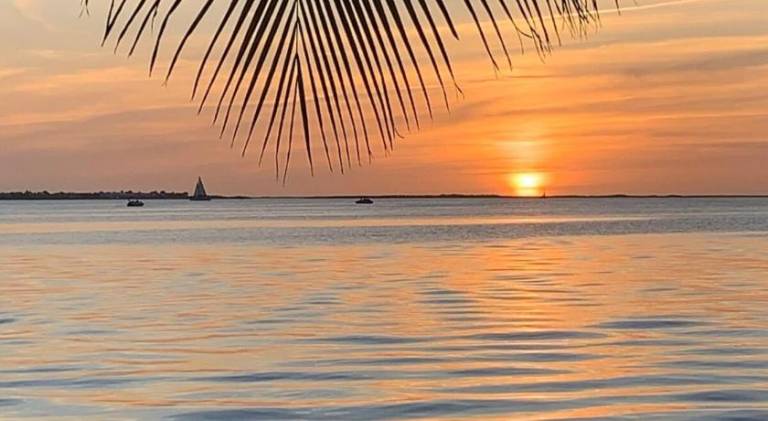 Wonderful house with pool | Dogs allowed in Key Largo, FL