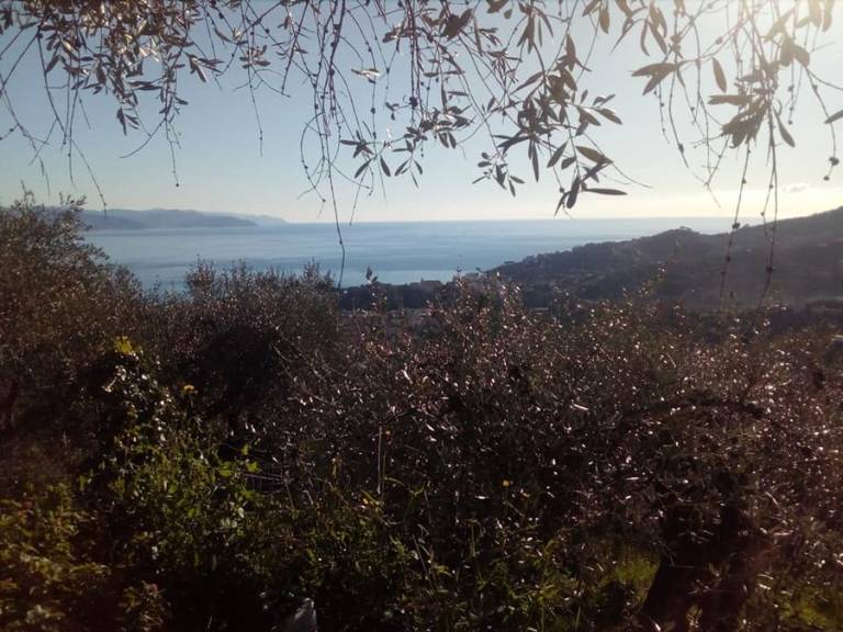 foto21