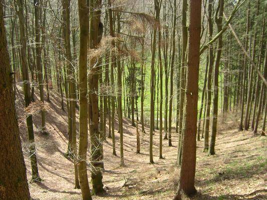 foto31