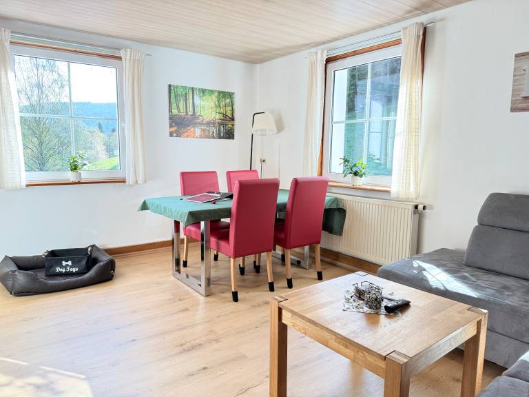 Family-friendly pleasant rental apartment with yard, fast internet & barbeque | Mountain view | Dogs allowed — photo 3