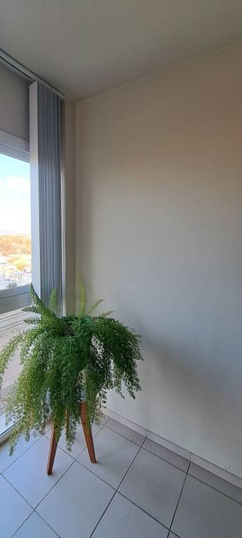 Apartamento Mendoza