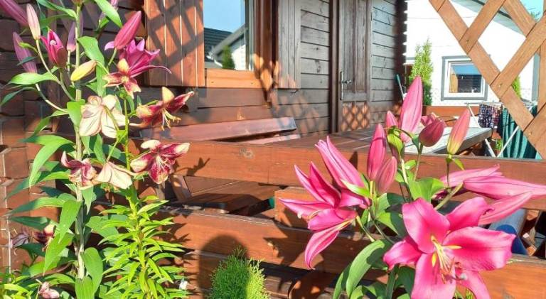 Lodge with barbeque, yard & terrace in Darlowo
