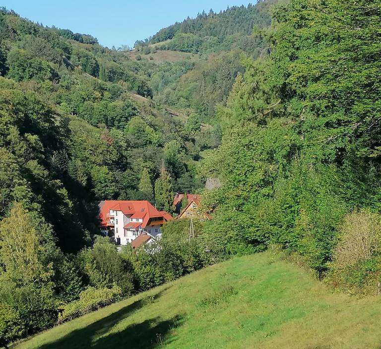 foto15