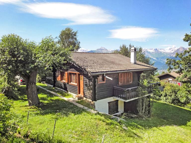 House with garden, barbeque & terrace | Pets are welcome — photo 3