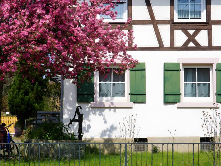 Ferienwohnung  Biberach