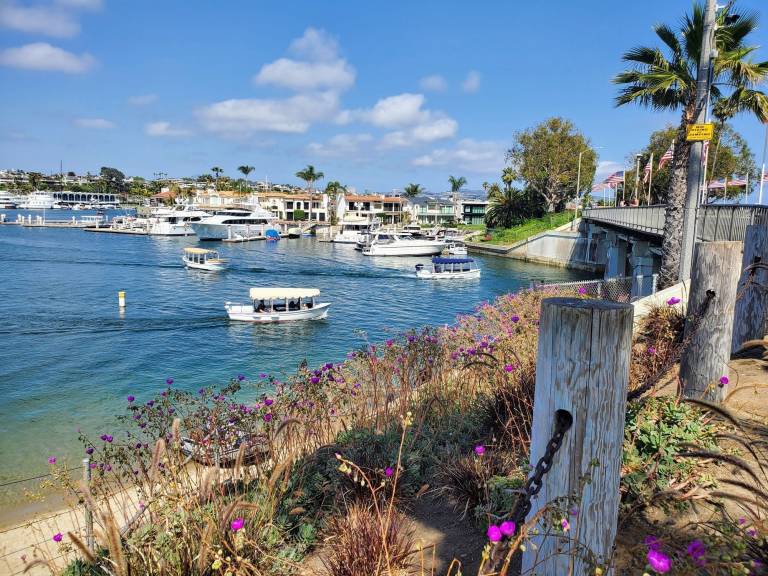 Condo  Newport Beach