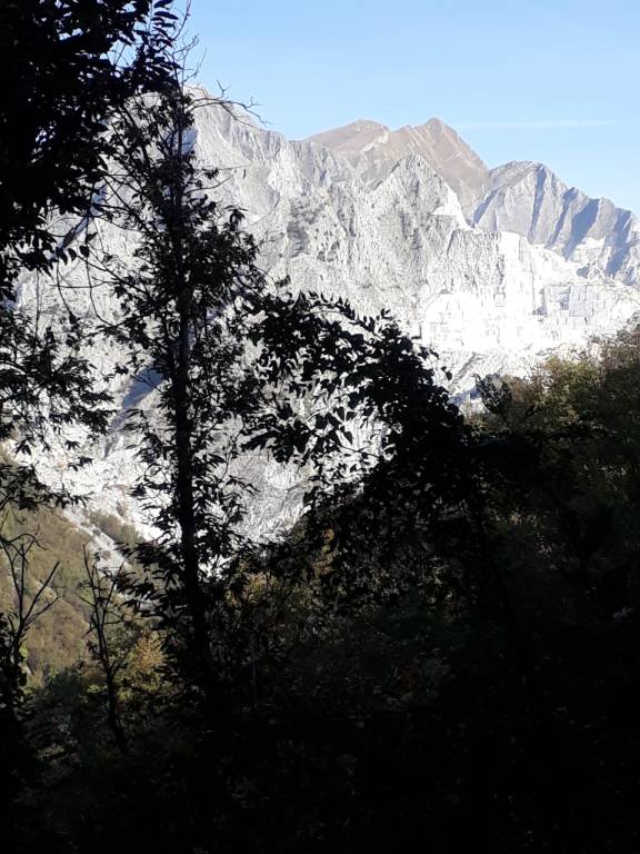 foto17