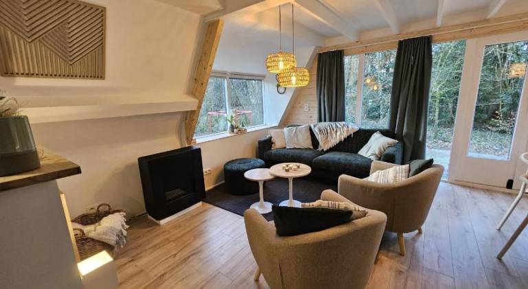 Chalet with pool — photo 3