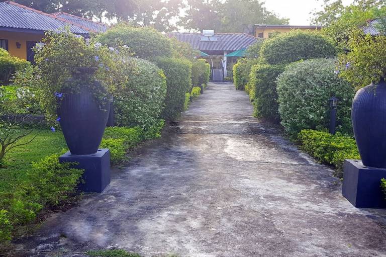 foto10
