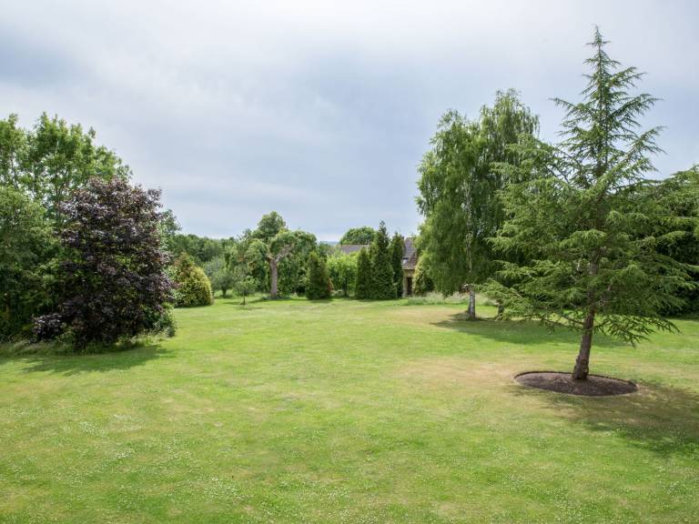 foto12