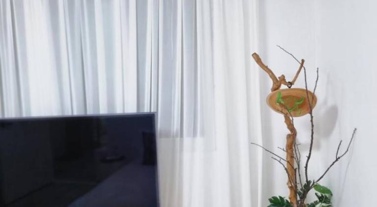 foto10