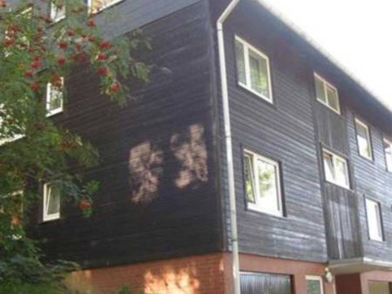 foto7