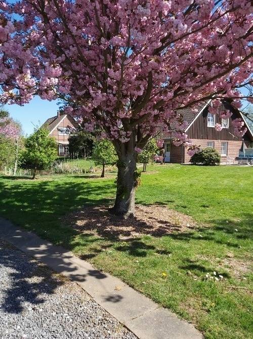 75 m² Ferienwohnung ∙ 2 Schlafzimmer ∙ 5 Gäste – Bild 19