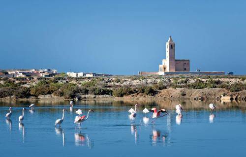 Casa Cabo de Gata