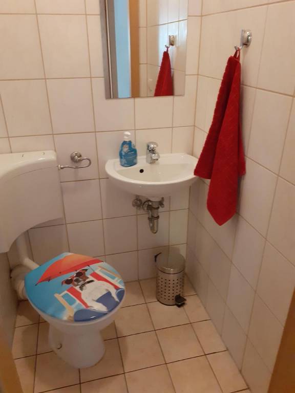 foto12