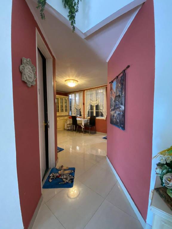 foto3