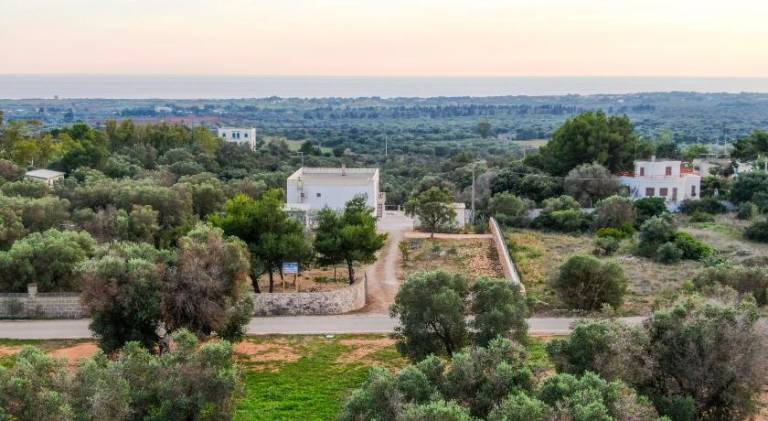 Villa with pool | Dogs allowed in Manduria