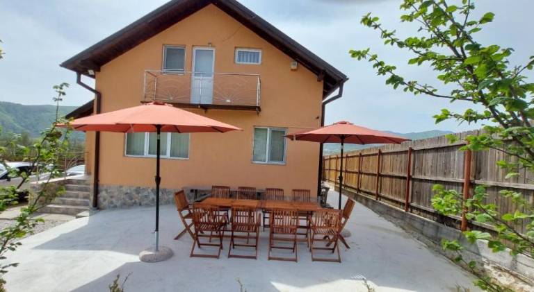 House Sălătrucel