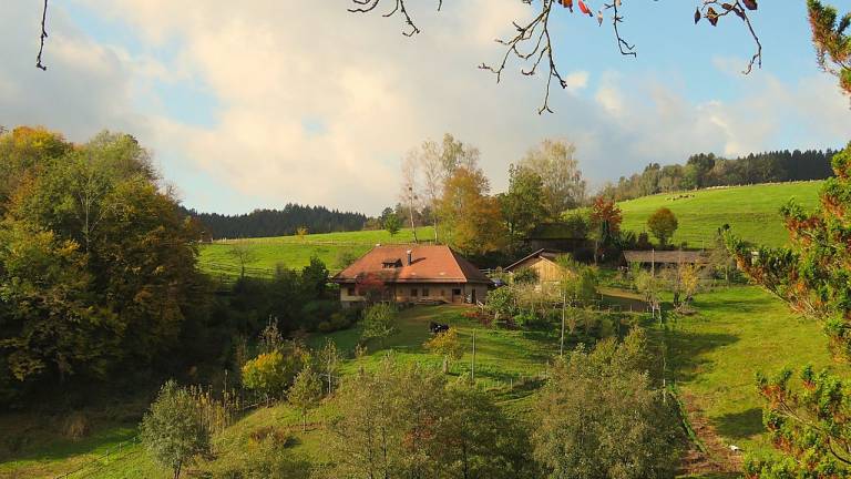 Ferienwohnung  Elzach