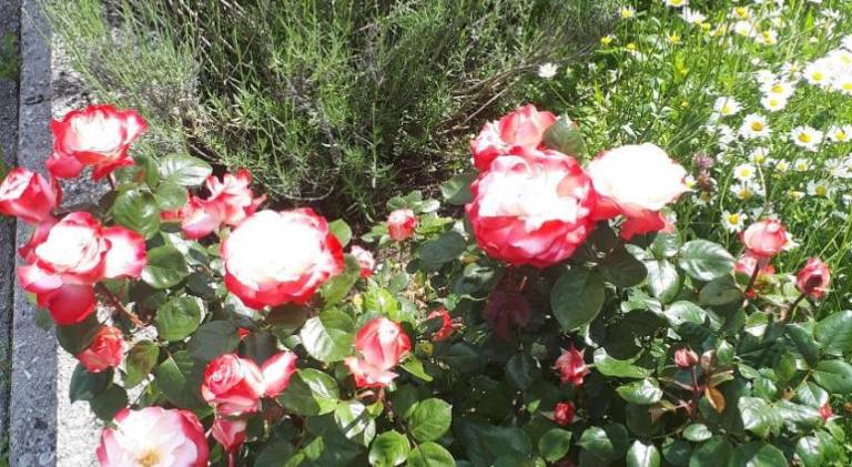 foto15