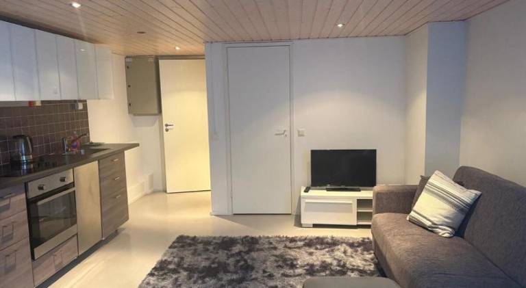 Nice rental apartment | Pets allowed — photo 2