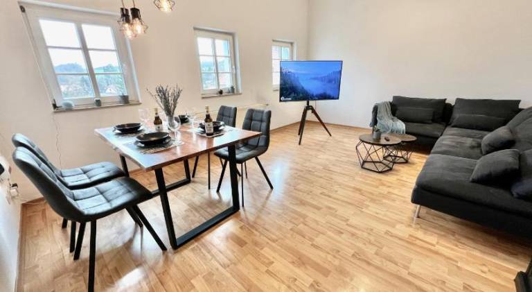Rental apartment | Pets are welcome in Meissen