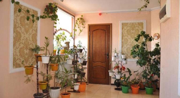 foto41
