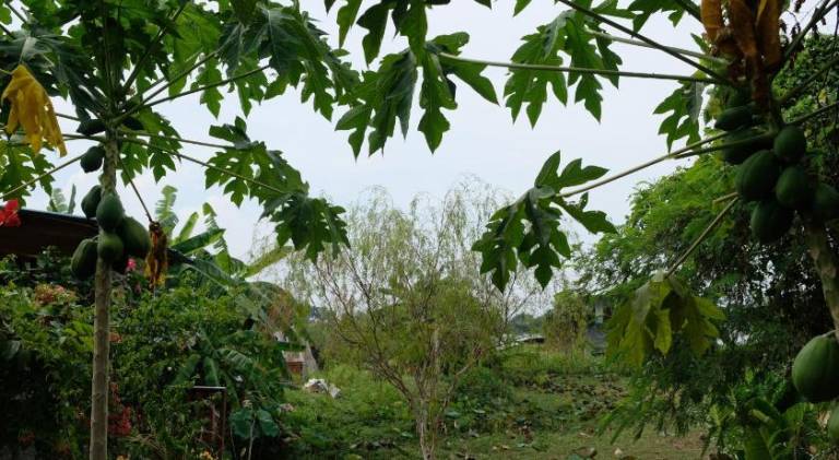 foto11