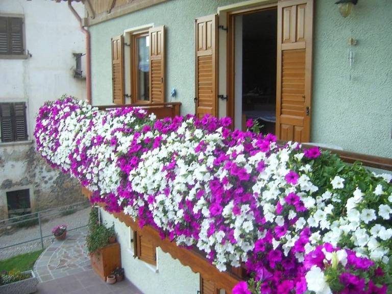 foto29