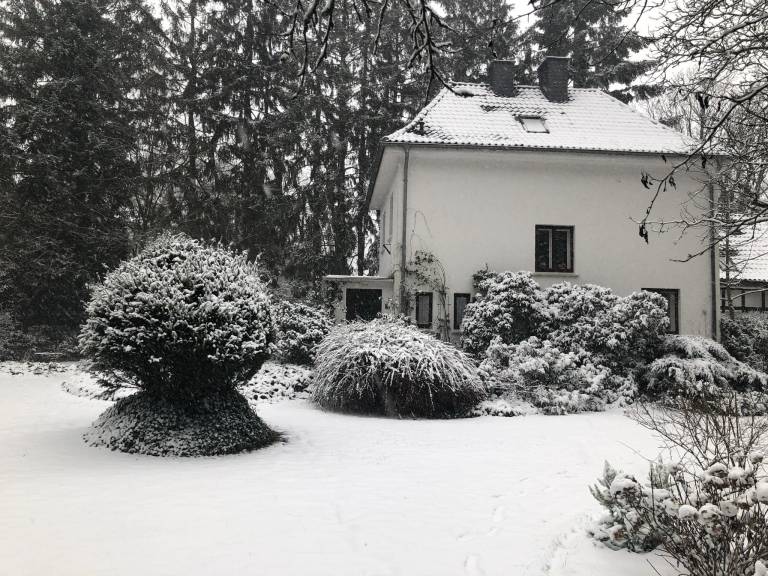 foto17
