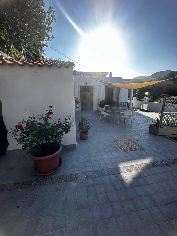 Fully equipped villa with barbecue, patio & jacuzzi | Dogs allowed — photo 4