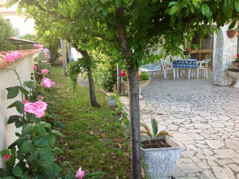 foto6