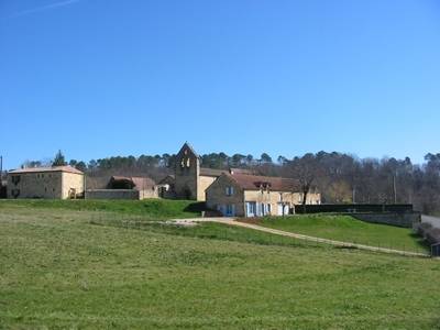 foto1