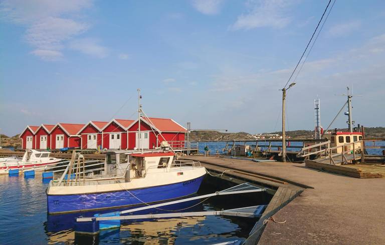 Hus  Tjörn