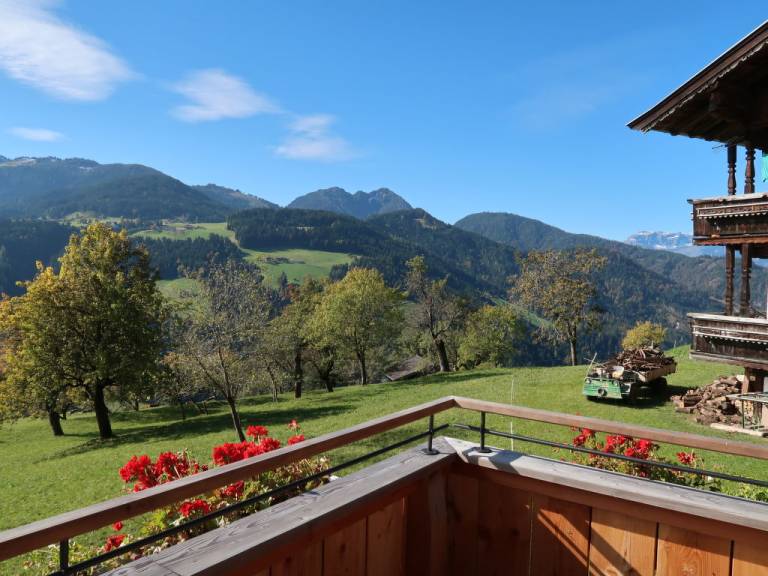 foto11
