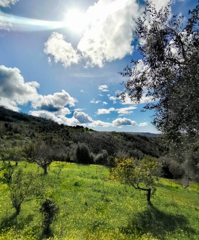 Camera privata Roccadaspide