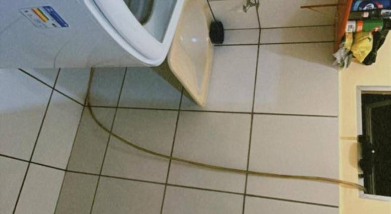 Apartment with pool — photo 4