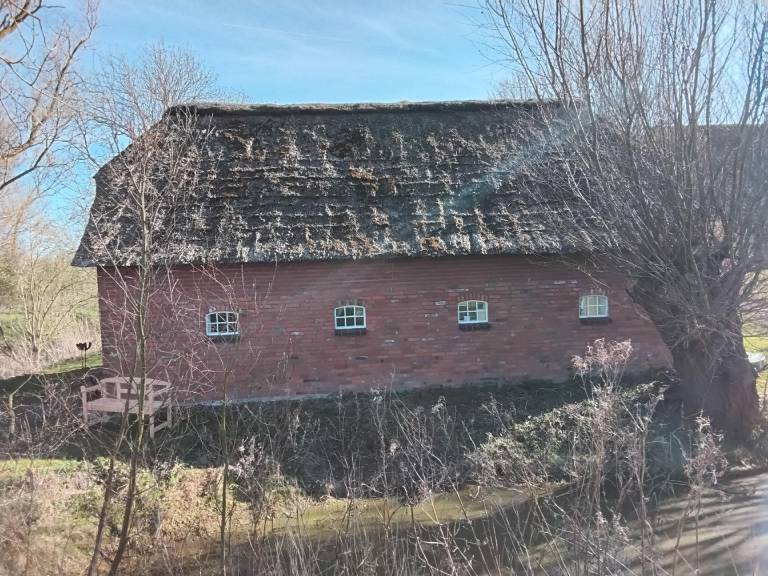 foto2