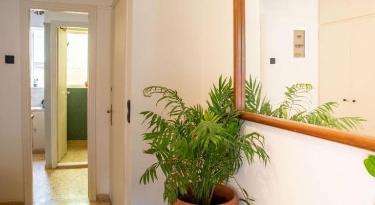 Holiday apartment | Next to Acropolis of Athens | Pets allowed — photo 5