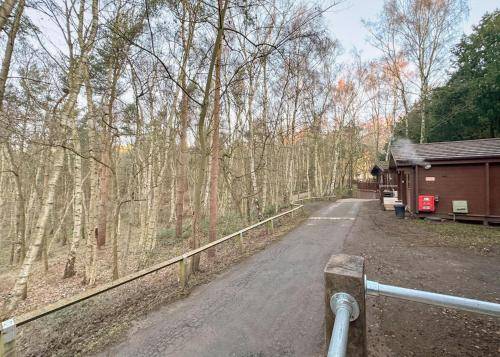 Camping  Edwinstowe