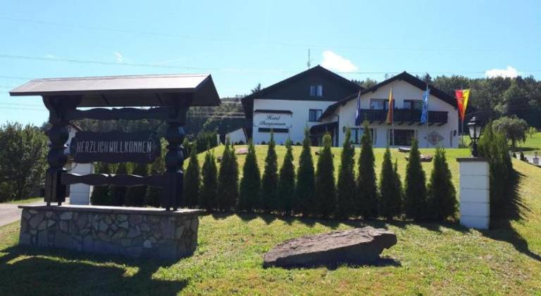 Hotel Bergwiesen - Zimmer mit Balkon oder Terasse in Lohr am Main