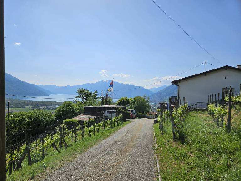 foto17