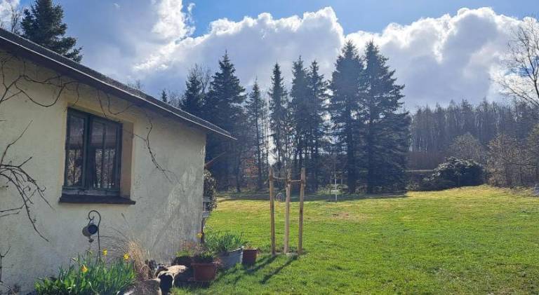 foto11