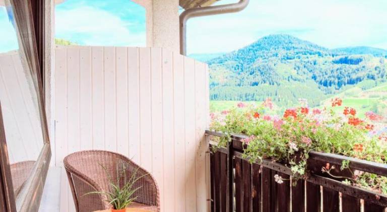 Hotel Schauinsland — photo 3
