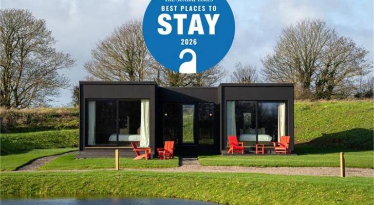 Mad Swans in The Mendips