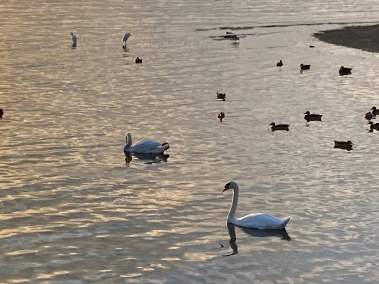 foto16