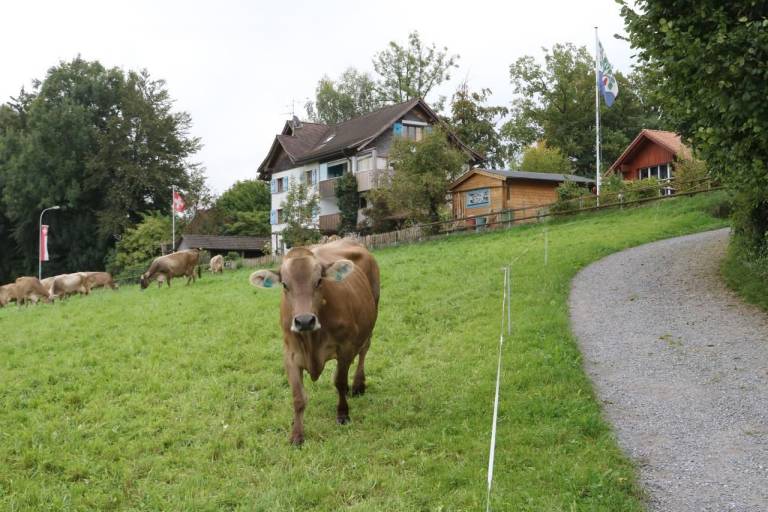 Ferienwohnung Winden