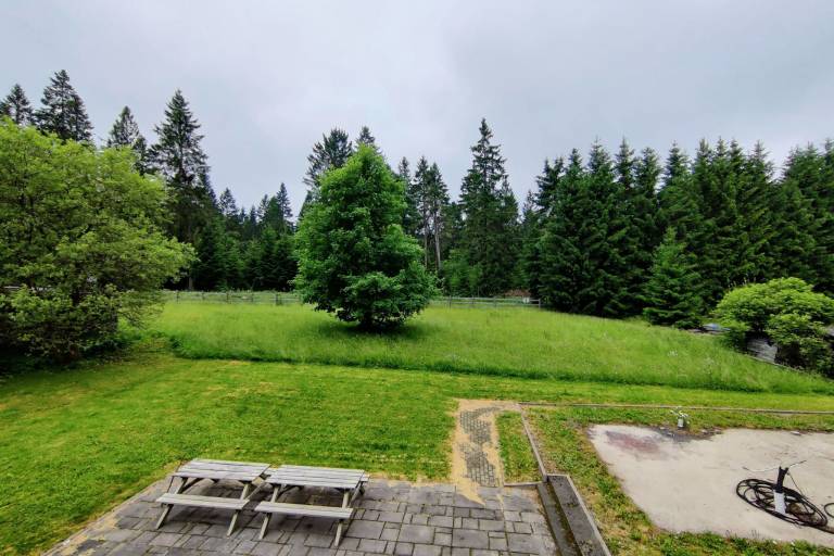 House with patio, yard & grill | Nature view — photo 5